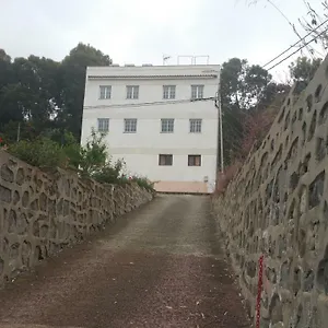 Del Pino Teror